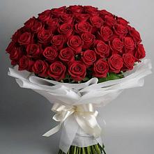 Букет 101 Красная роза Блэк Мэджик в Большое Грызлово