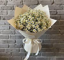 Букет цветов из:  Ромашки в Большое Грызлово
