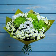 Букет цветов из:  Хризантемы #REPLACE_PRED# Большое Грызлово