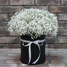 Цветочная композиция из Гипсофила в шляпной коробке #REPLACE_PRED# Большое Грызлово