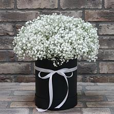 Цветочная композиция из Гипсофила в шляпной коробке в Большое Грызлово