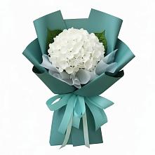 Букет цветов из:  Гортензия в Большое Грызлово